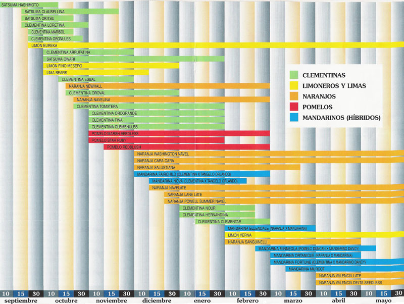 Calendario Stagionale