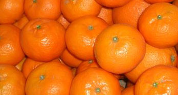 Mandarini Clementina 12 Kg - Prezzo 44 €
