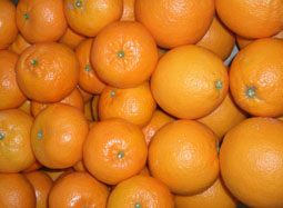 Acquista cassetta di frutta mista - Valencia oranges and mandarins online