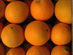Acquista arance online - Valencia oranges online