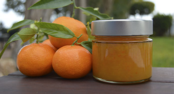 Marmellata Extra di Mandarino 220g - Prezzo 7 €