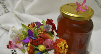 Miele Millefiori 1 Kg - Prezzo 16 €