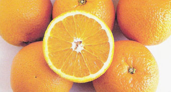 Arance Valencia 15Kg - Prezzo 44 €